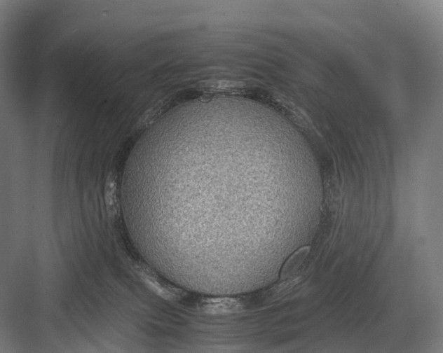 X0000082720087200702161852