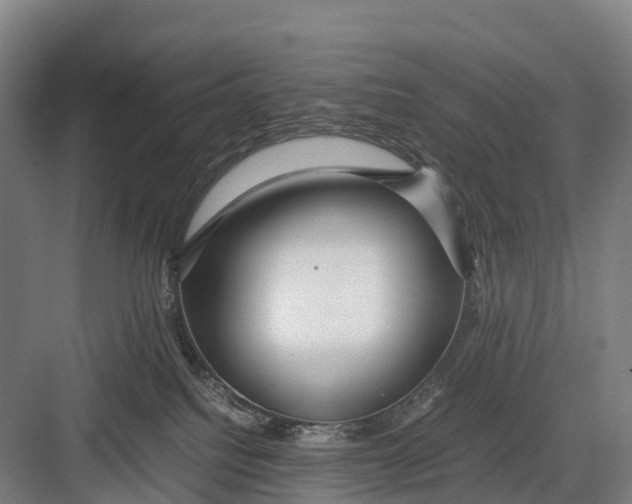 X0000082720088200702161852