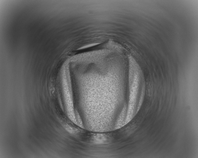 X0000082720091200702161852