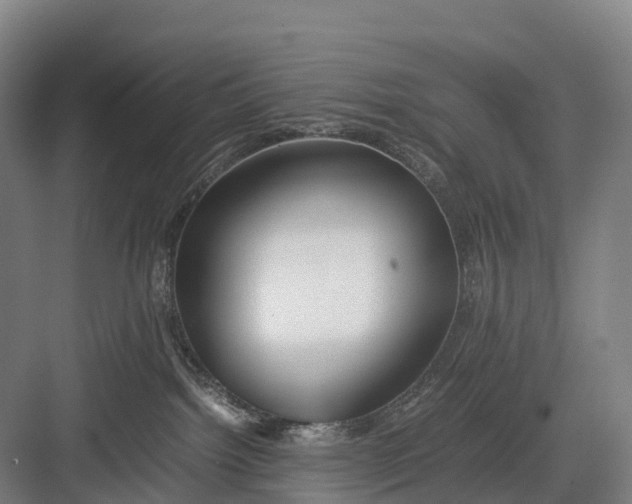 X0000082720092200702161852