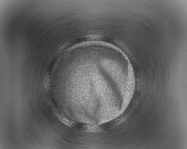 X0000082720093200702161852