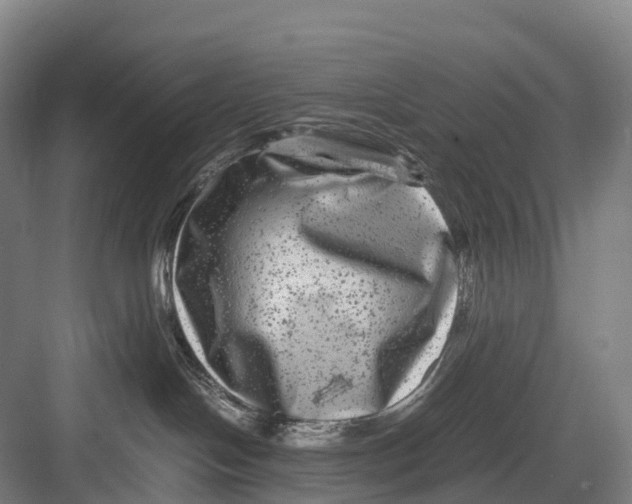 X0000082720094200702161852