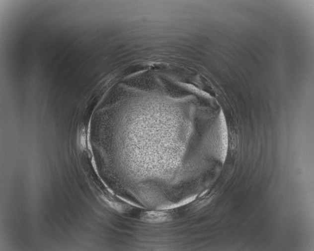 X0000082720095200702161852