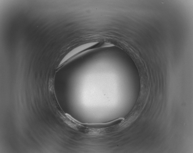 X0000082720096200702161852