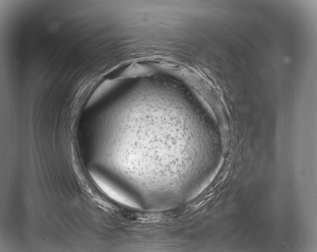 X0000082720097200702161852