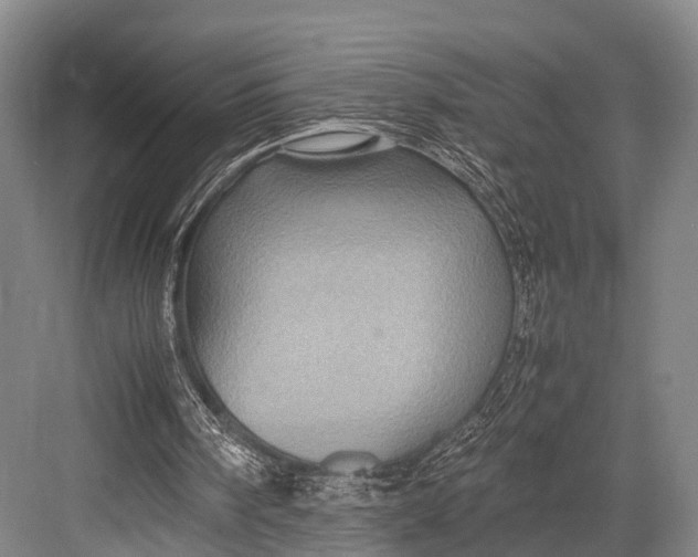 X0000082720098200702161852