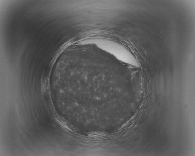 X0000082720099200702161852