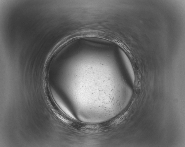 X0000082720101200702161852