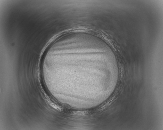 X0000082720102200702161851