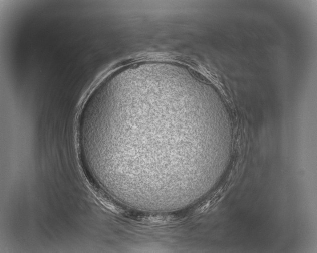 X0000082720103200702161851