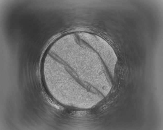 X0000082720104200702161851