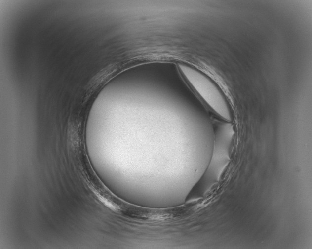 X0000082720105200702161851