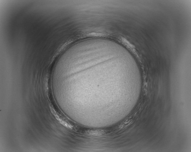 X0000082720106200702161851