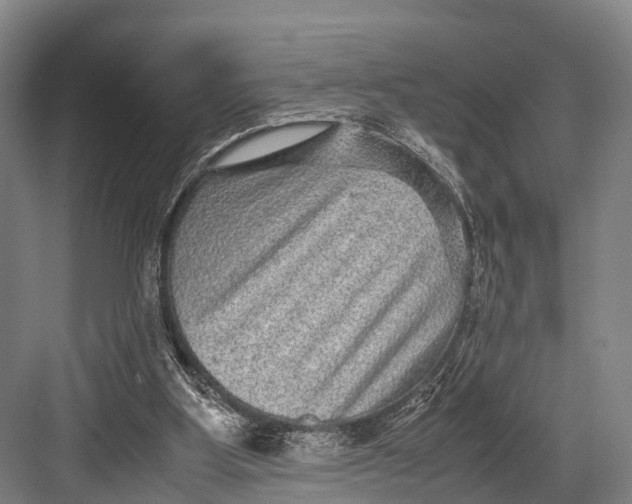 X0000082720107200702161851