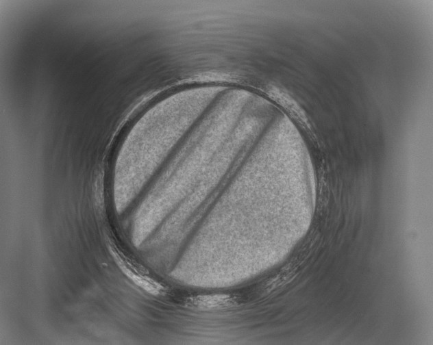 X0000082720108200702161851