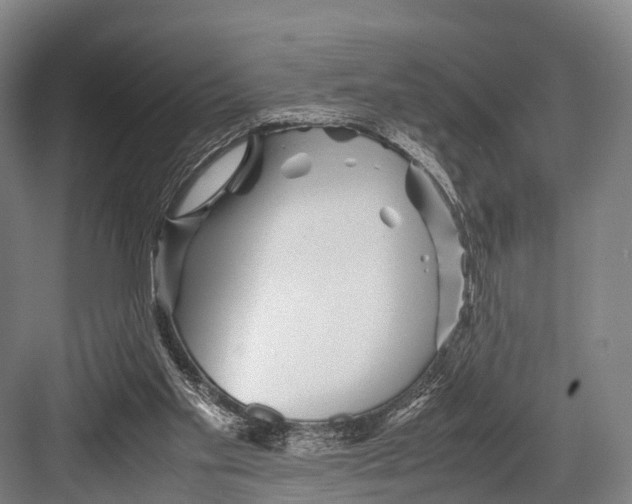 X0000082720109200702161851