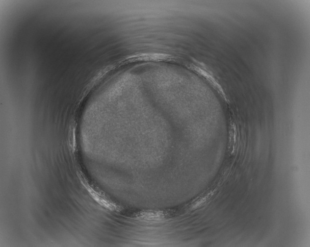 X0000082720110200702161851