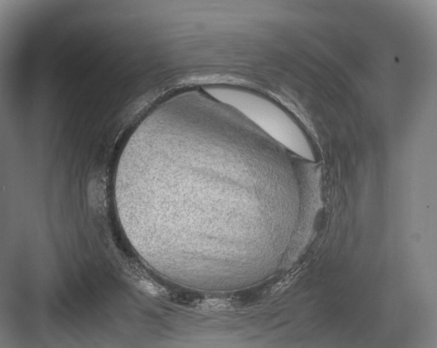 X0000082720111200702161851