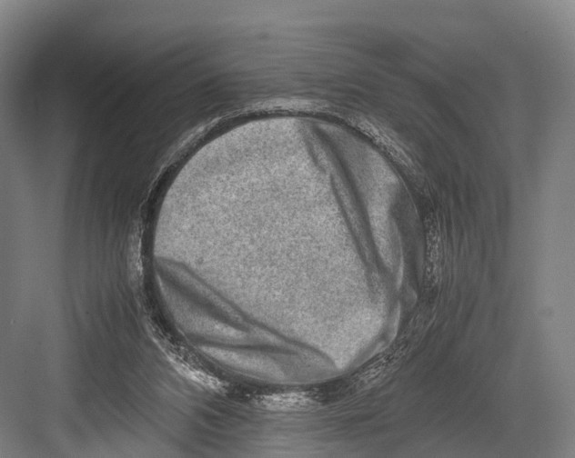 X0000082720112200702161851