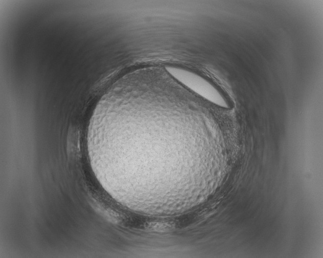 X0000082720115200702161851