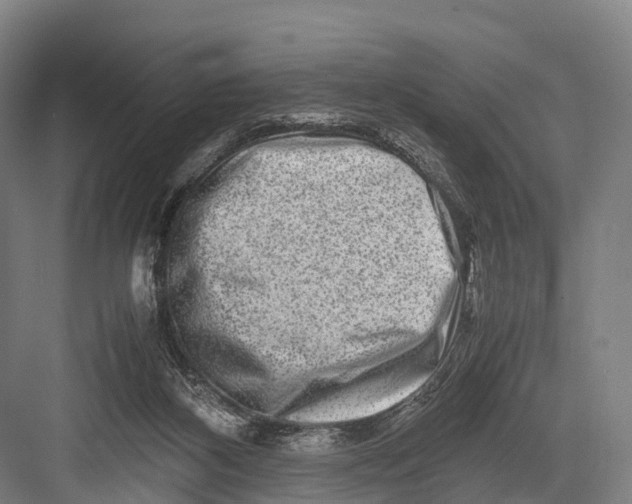 X0000082720116200702161851