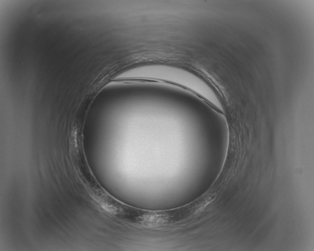 X0000082720117200702161851