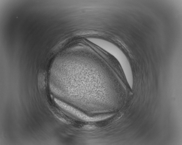 X0000082720119200702161851