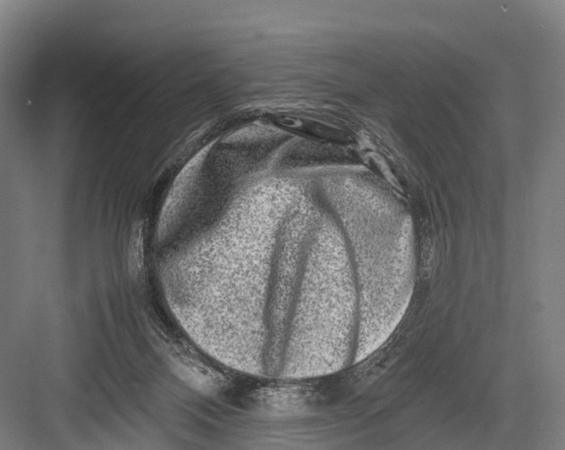 X0000082720120200702161851