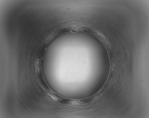 X0000082720121200702161851