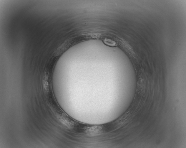 X0000082720122200702161851