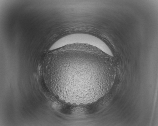 X0000082720123200702161851