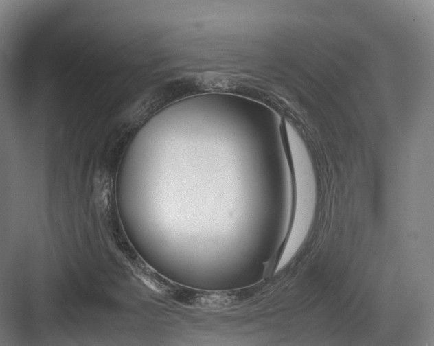 X0000082720125200702161851