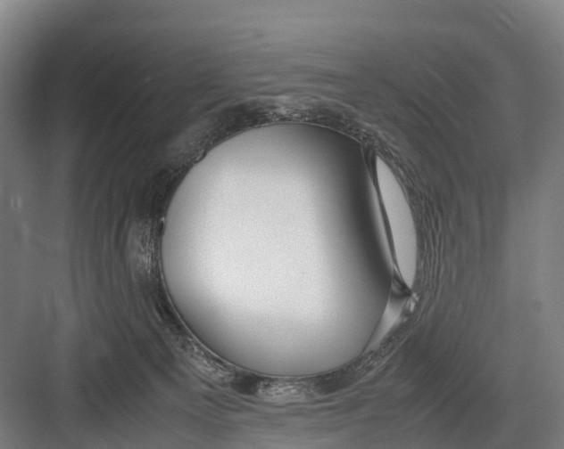 X0000082720129200702161851