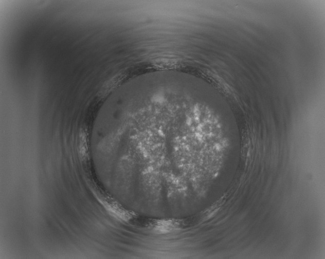 X0000082720130200702161851