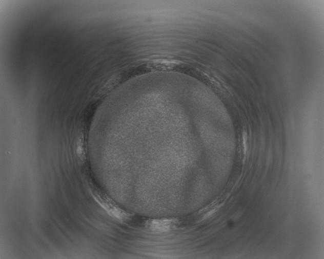 X0000082720134200702161851