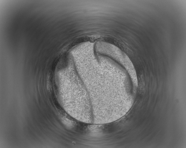 X0000082720136200702161851