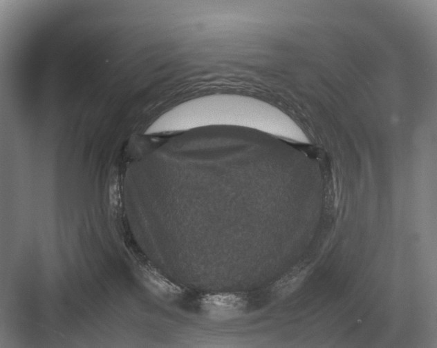 X0000082720137200702161851