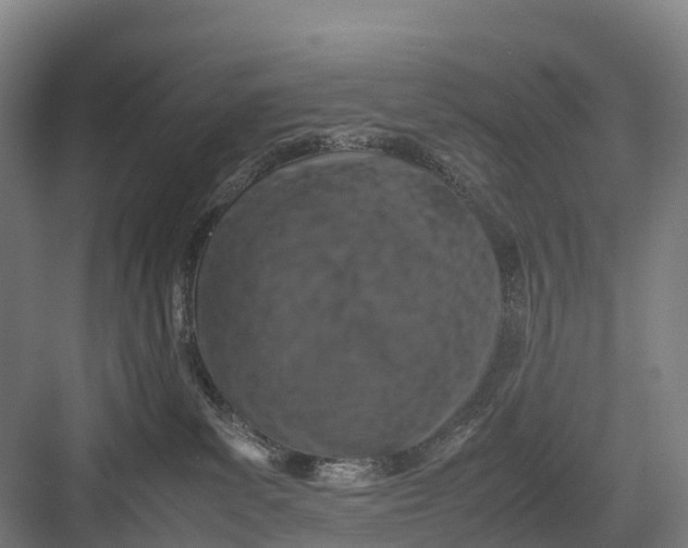 X0000082720139200702161851