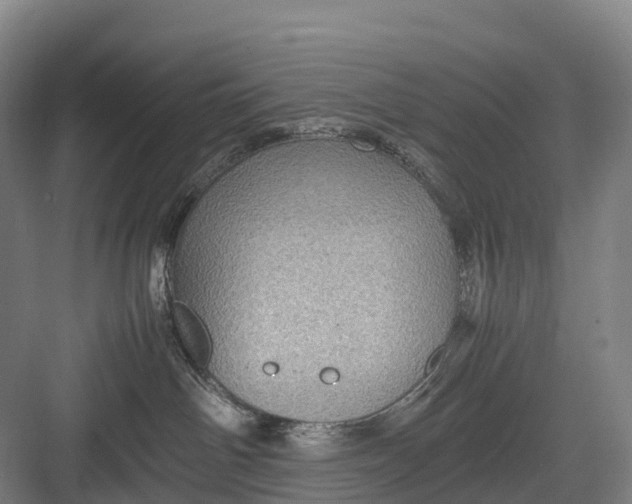 X0000082720142200702161851