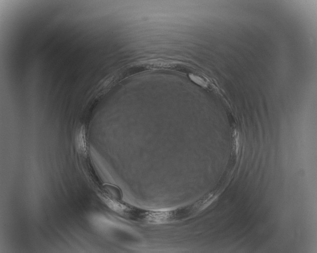 X0000082720143200702161851