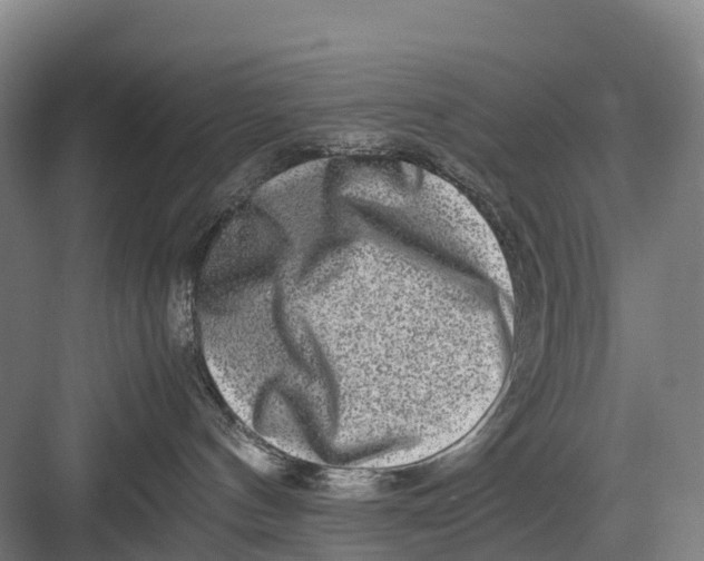 X0000082720144200702161851