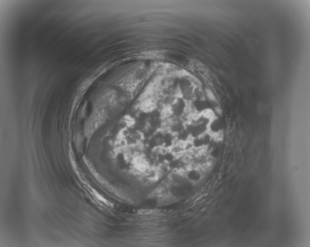 X0000082720145200702161850