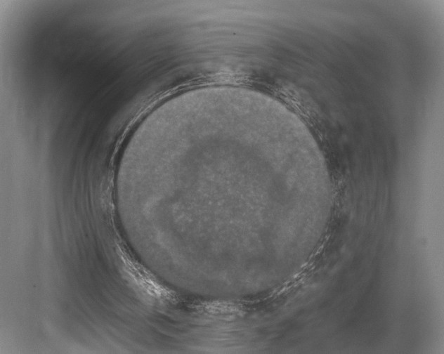 X0000082720146200702161850