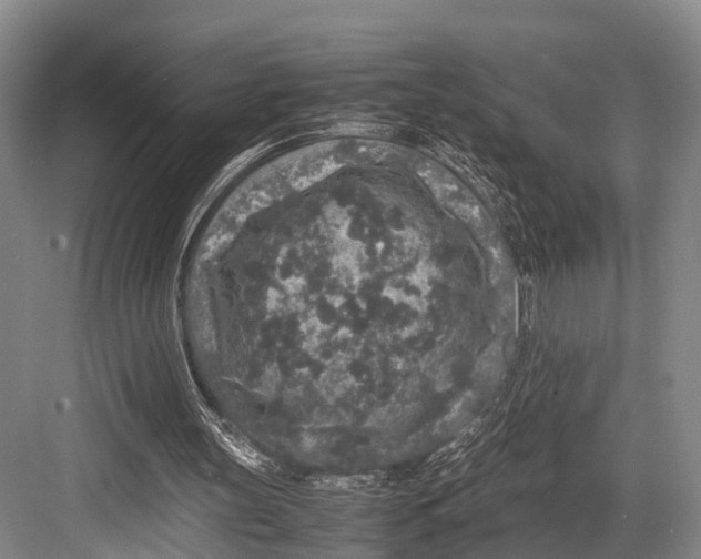 X0000082720147200702161850