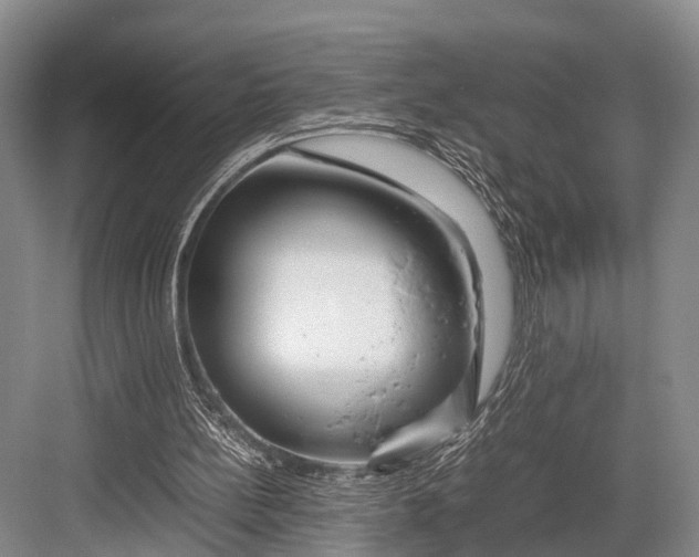 X0000082720148200702161850