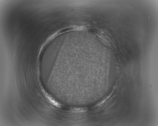 X0000082720149200702161850