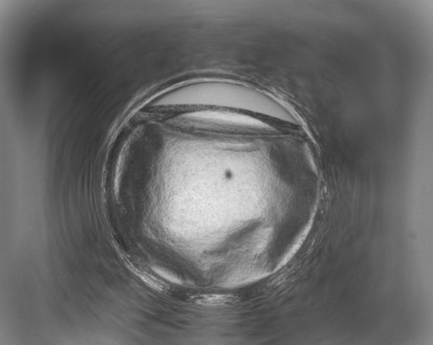 X0000082720151200702161850