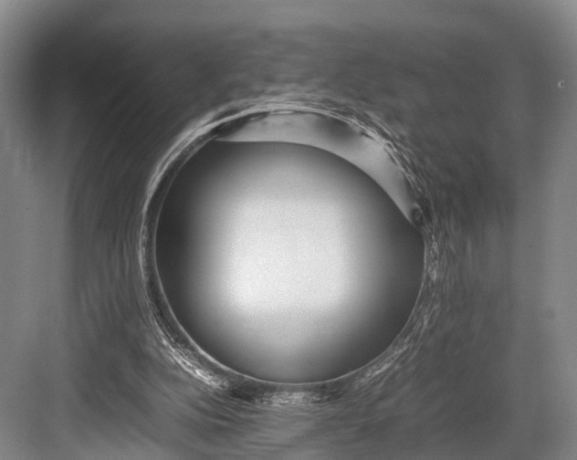 X0000082720152200702161850