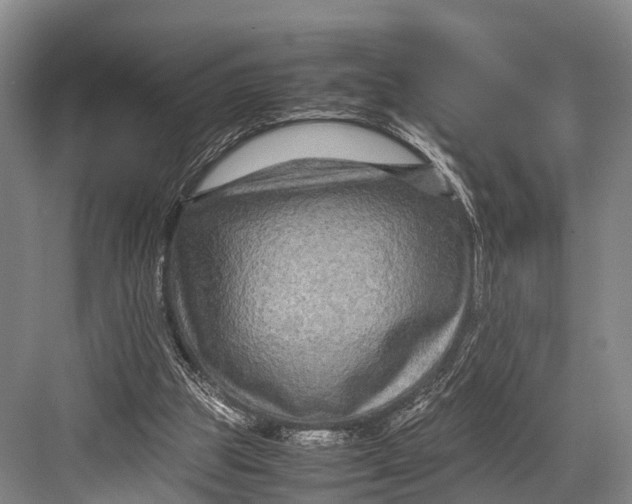 X0000082720153200702161850