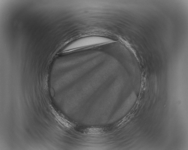 X0000082720154200702161850